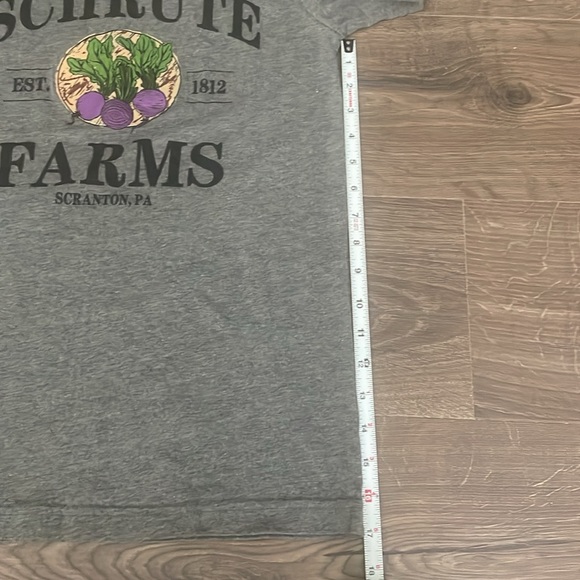 Barstool Sports Schrute Farms Gray Short Sleeve Tee, Adult Small - Picture 4 of 6
